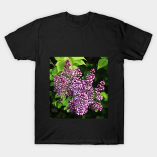 Spring Lilac blossom Photographic image T-Shirt